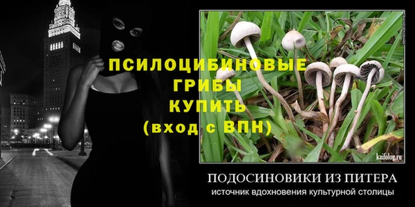 PSILOCYBIN Володарск